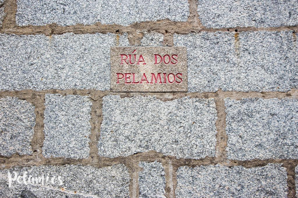Pelamios House Lägenhet Santiago de Compostela Exteriör bild